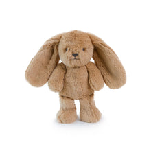 Load image into Gallery viewer, Personalised Plush Bunny | Little Bailey