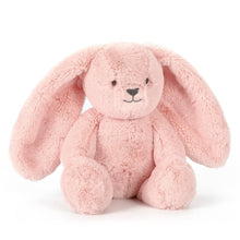Load image into Gallery viewer, Personalised Plush Bunny | Bella Huggie