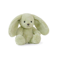 Load image into Gallery viewer, Personalised Plush Bunny | Little Clover Sherbert