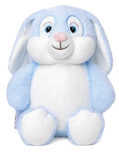 Load image into Gallery viewer, Personalised Baby Blue Bunny Cubby