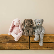 Load image into Gallery viewer, Jiggle & Giggle | Darcy the Comfort Bear