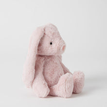 Load image into Gallery viewer, Personalised Jiggle & Giggle Medium Bunny | Pink side