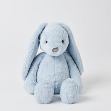 Load image into Gallery viewer, Personalised Jiggle & Giggle Medium Bunny | Pale Blue front view