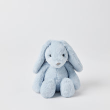 Load image into Gallery viewer, Jiggle & Giggle | Pale Blue Bunny Hamper Gift Set