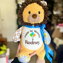 Load image into Gallery viewer, Personalised Harlequin Sensory Lion Cubby