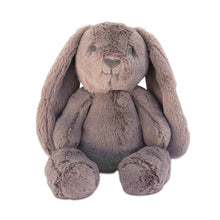 Load image into Gallery viewer, Personalised Plush Bunny | Byron Huggie