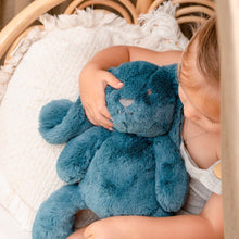 Load image into Gallery viewer, Personalised Plush Bunny | Banjo Huggie