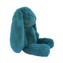 Load image into Gallery viewer, Personalised Plush Bunny | Banjo Huggie