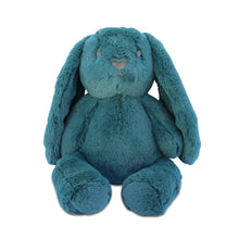 Load image into Gallery viewer, Personalised Plush Bunny | Banjo Huggie