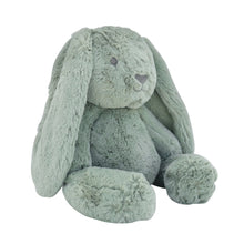Load image into Gallery viewer, Personalised Plush Bunny | Beau Huggie