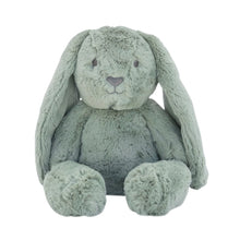 Load image into Gallery viewer, Personalised Plush Bunny | Beau Huggie