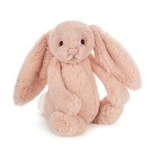 Load image into Gallery viewer, Jellycat Plush bunny toy in pink on a white background
