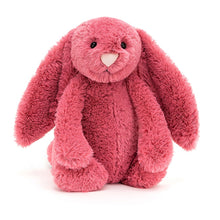 Load image into Gallery viewer, Personalised Jellycat Bashful Bunny Medium - Cerise front view
