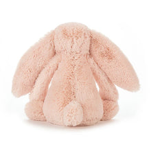 Load image into Gallery viewer, Jellycat Bashful Bunny LITTLE - Blush back
