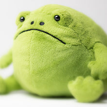 Load image into Gallery viewer, Jellycat Ricky Rain Frog
