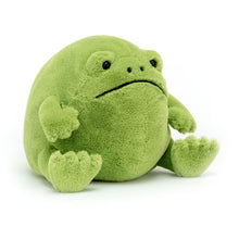 Load image into Gallery viewer, Jellycat Ricky Rain Frog
