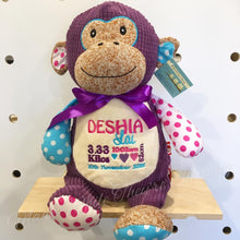 Load image into Gallery viewer, Personalised Purple Harlequin Monkey Cubby
