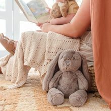 Load image into Gallery viewer, Personalised Plush Bunny | Byron Huggie
