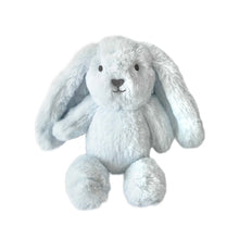 Load image into Gallery viewer, Personalised Plush Bunny | Little Baxter
