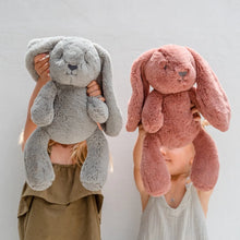 Load image into Gallery viewer, Personalised Plush Bunny | Bodhi Huggie
